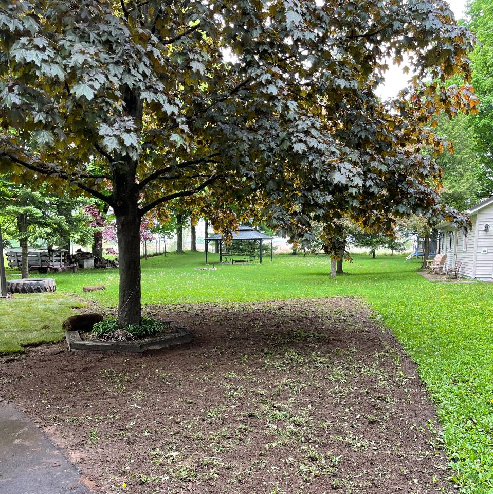 DebEb-Yard-patch-1RS.jpg DebEb-Yard-patch-1RS.jpg