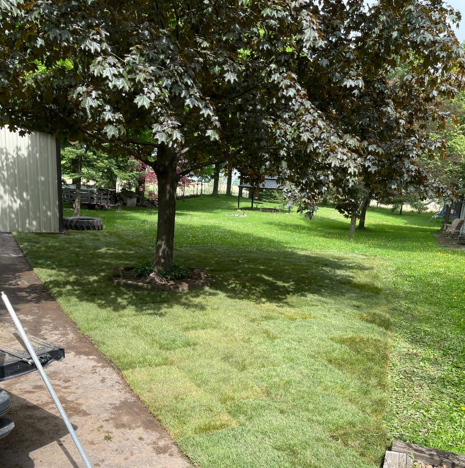 DebEb-Yard-patch-12-RS.jpg DebEb-Yard-patch-12-RS.jpg