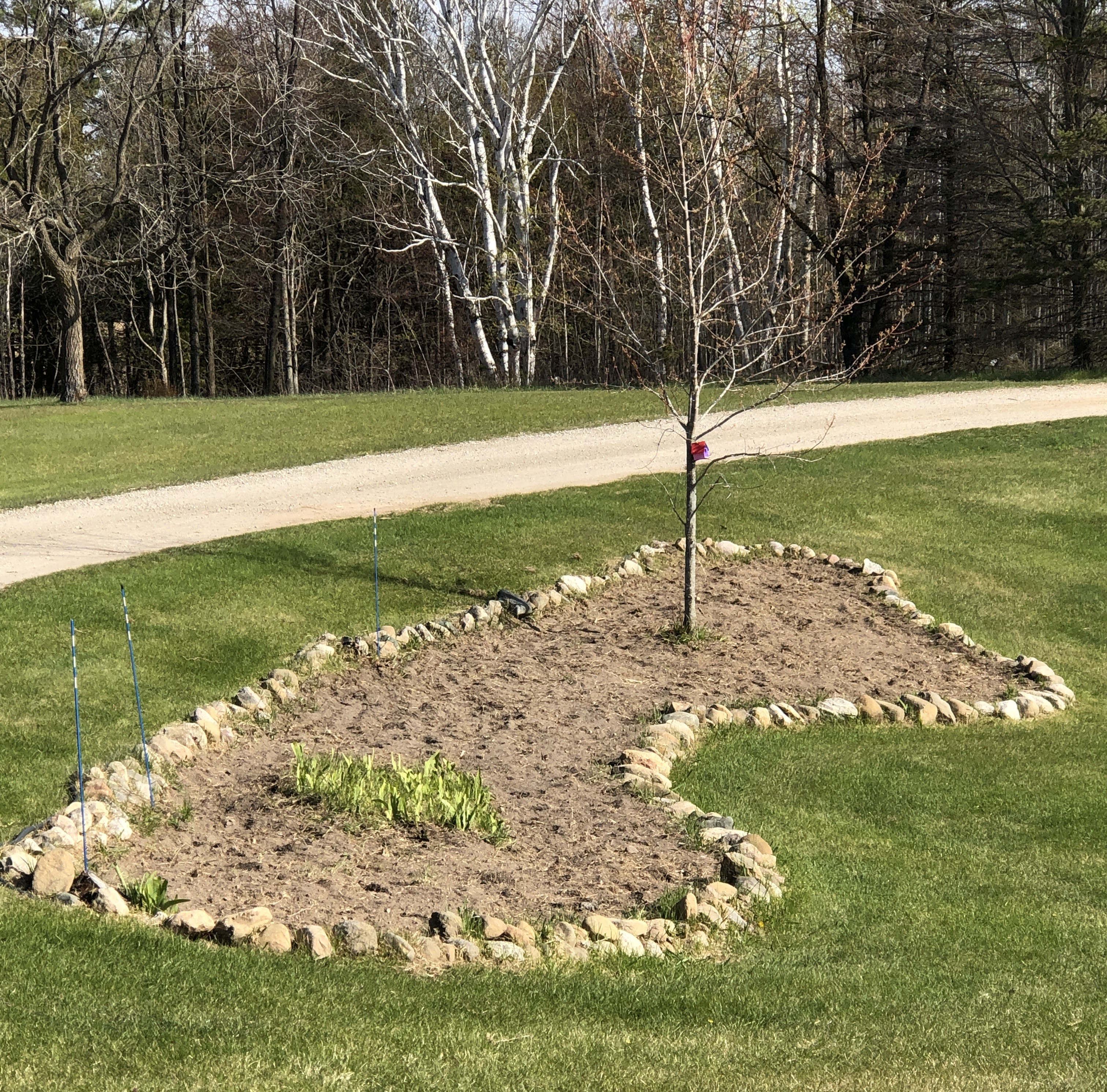 JC-rock-garden-before JC-rock-garden-before